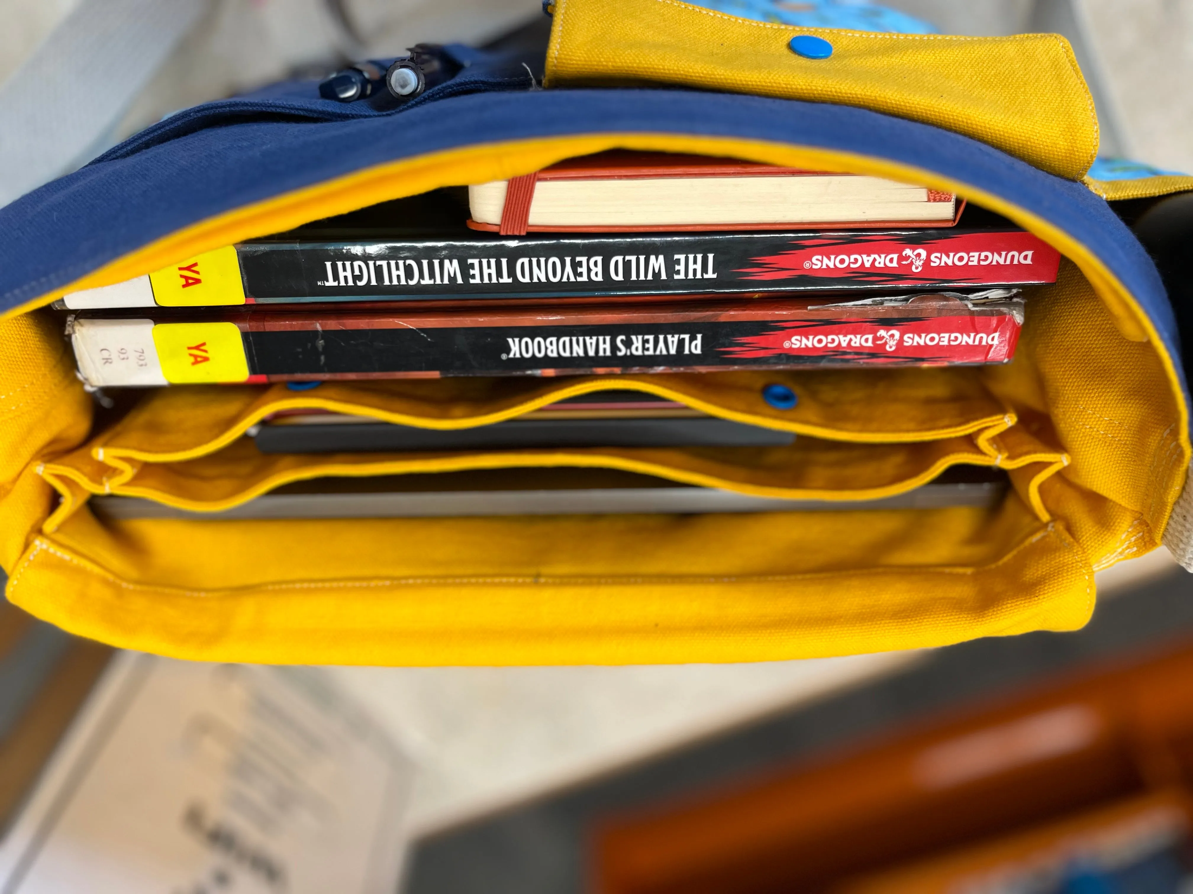Adventurer's Satchel